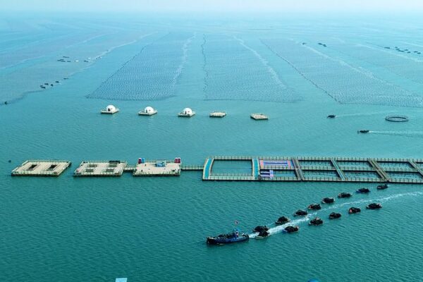 China’s Marine Economy Grows 5.6% in H1, Surpassing Overall Growth China_s_Marine_Economy_Grows_5_6__in_H1__Surpassing_Overall_Growth