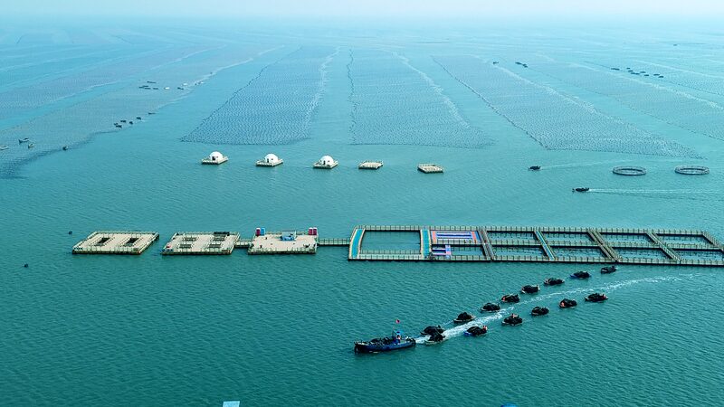 China_s_Marine_Economy_Grows_5_6__in_H1__Surpassing_Overall_Growth