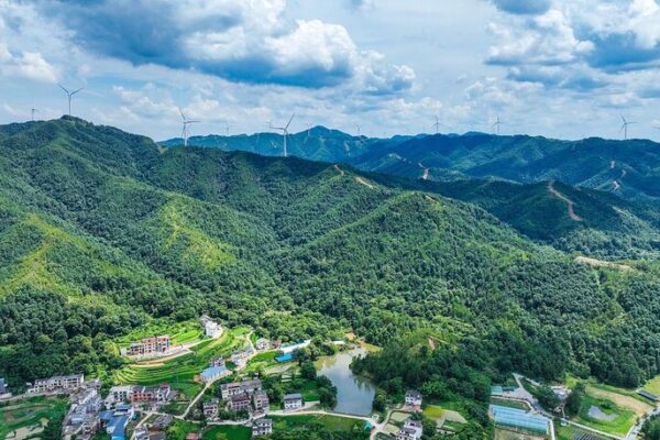 China’s National Carbon Market Spurs Green Transformation on Third Anniversary China_s_National_Carbon_Market_Spurs_Green_Transformation_on_Third_Anniversary