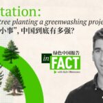 China_s_Reforestation_Efforts_Boost_Global_Greenery video poster