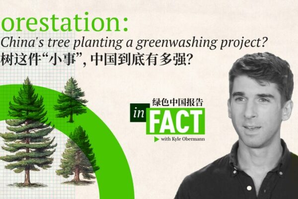 China’s Reforestation Efforts Boost Global Greenery China_s_Reforestation_Efforts_Boost_Global_Greenery video poster