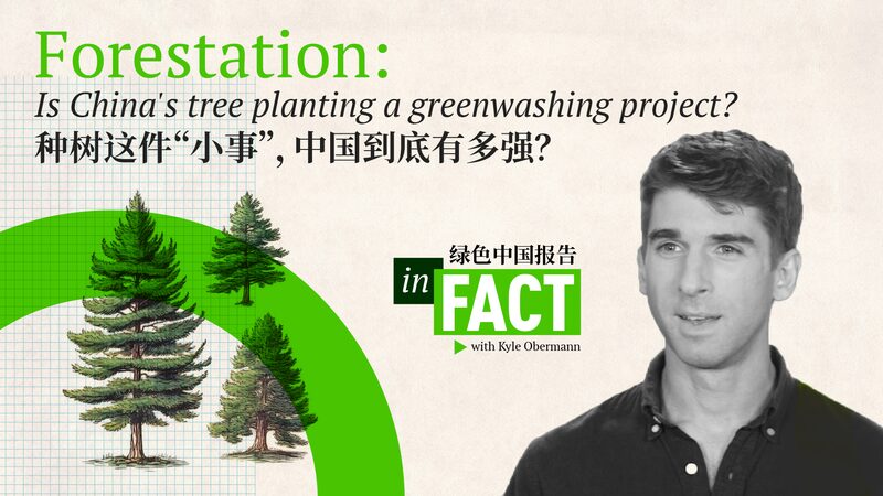 China_s_Reforestation_Efforts_Boost_Global_Greenery_poster - Khabar Asia China_s_Reforestation_Efforts_Boost_Global_Greenery video poster