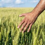 China_s_Rural_Income_Doubles_Over_the_Past_Decade