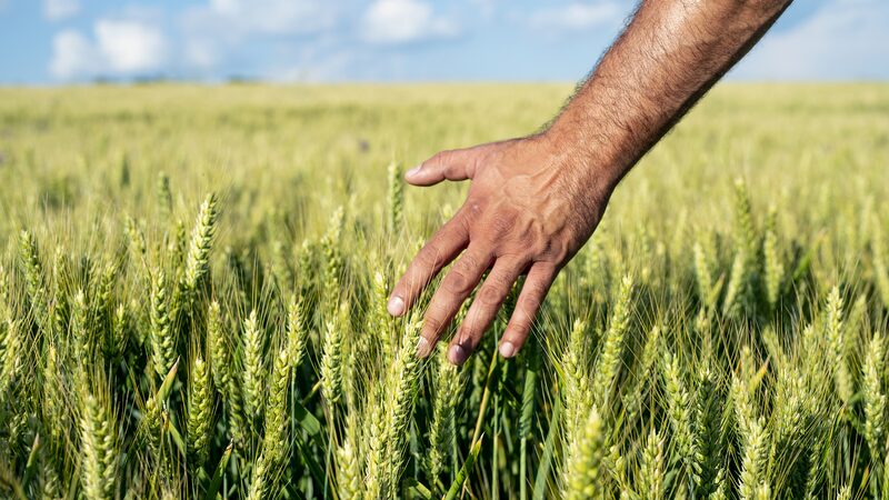 China_s_Rural_Income_Doubles_Over_the_Past_Decade - Khabar Asia China_s_Rural_Income_Doubles_Over_the_Past_Decade