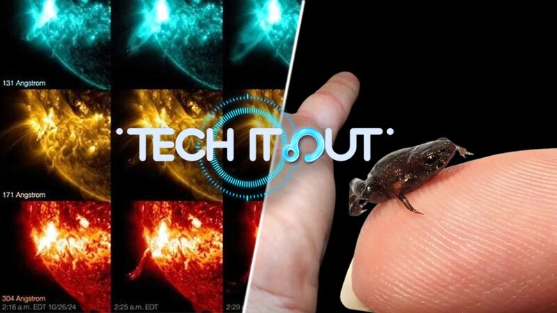 China_s_Solar_Cell_Breakthrough_Leads_Global_Scientific_Advances_poster - Khabar Asia China_s_Solar_Cell_Breakthrough_Leads_Global_Scientific_Advances video poster