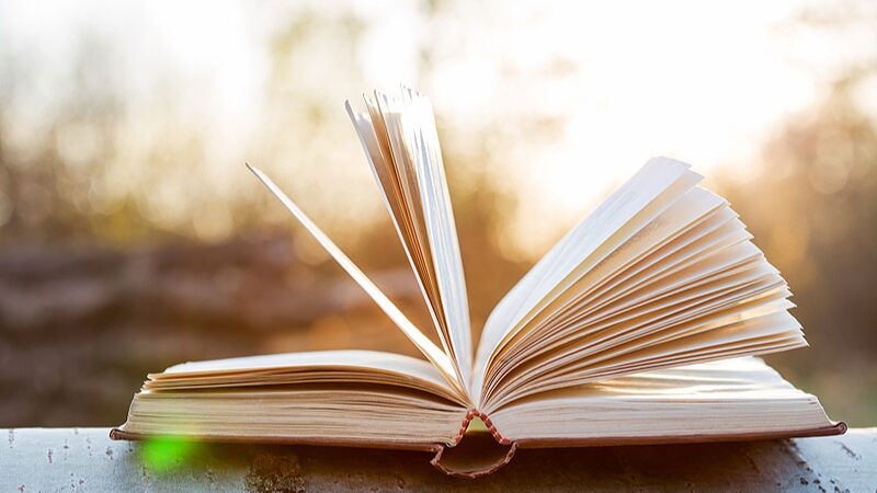 China_s_Top_Buzzwords_of_2024_Highlight_National_and_Global_Trends - Khabar Asia China_s_Top_Buzzwords_of_2024_Highlight_National_and_Global_Trends