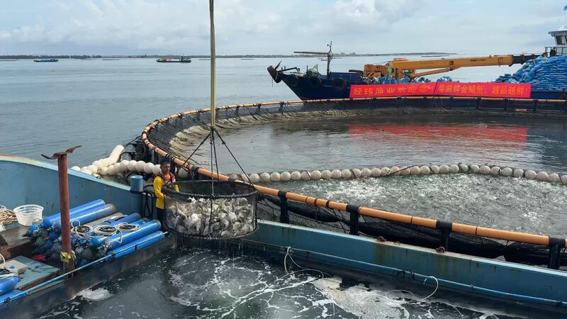 China_s__Donut__Ocean_Farms_Revolutionize_Sustainable_Aquaculture_poster - Khabar Asia China_s__Donut__Ocean_Farms_Revolutionize_Sustainable_Aquaculture video poster