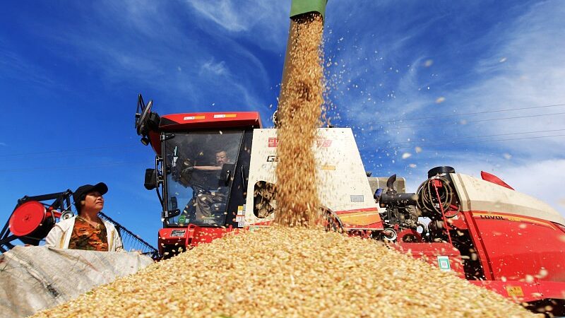 Chinas_Agricultural_Insurance_Shields_Farmers_Boosts_Food_Security - Khabar Asia China's Agricultural Insurance Shields Farmers, Boosts Food Security