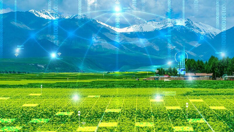 Chinas_Agricultural_Modernization_Securing_Food_and_Revitalizing_Rural_Life_poster - Khabar Asia China's Agricultural Modernization: Securing Food and Revitalizing Rural Life video poster