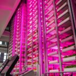 China's Ambitious Drive Towards 'New Quality Productive Forces'