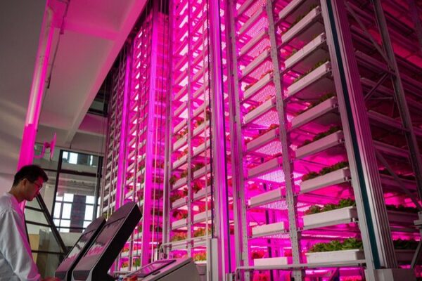 China’s Ambitious Drive Towards ‘New Quality Productive Forces’ China's Ambitious Drive Towards 'New Quality Productive Forces'