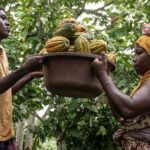 China's Belt and Road Agricultural Cooperation Tackles Global Challenges