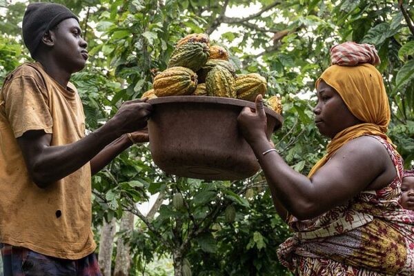 China's Belt and Road Agricultural Cooperation Tackles Global Challenges