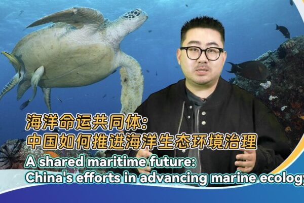 China’s Blue Circle Initiative: Revolutionizing Marine Plastic Pollution Control China's Blue Circle Initiative: Revolutionizing Marine Plastic Pollution Control video poster