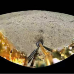China's Chang'e-6 Returns with First-Ever Samples from Moon's Far Side