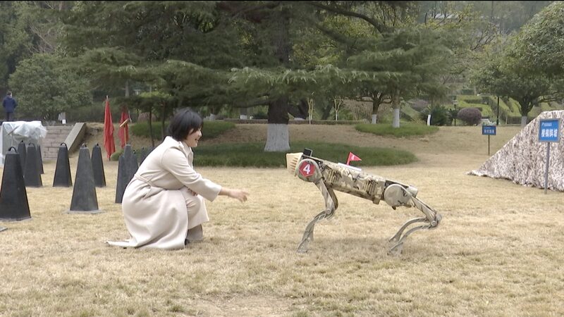 China's Civil-Military Tech Fusion Boosts Robotics and Regional Economy video poster