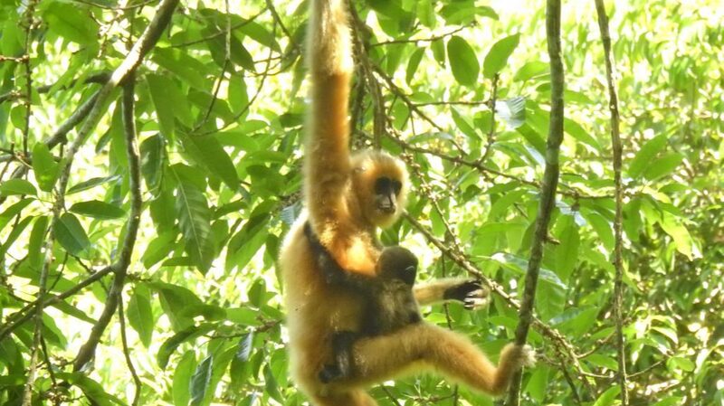 Chinas_Commitment_to_Biodiversity_Protecting_Nature_for_Human_Well-Being - Khabar Asia China's Commitment to Biodiversity: Protecting Nature for Human Well-Being