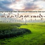 China's Commitment to Green Development: The Saihanba Forest Transformation video poster