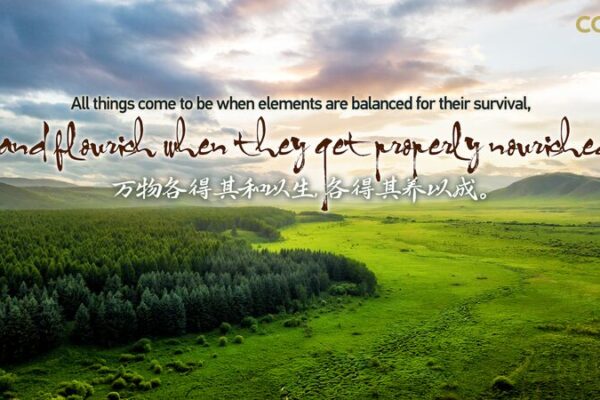 China's Commitment to Green Development: The Saihanba Forest Transformation video poster