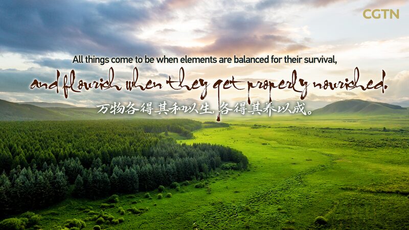 Chinas_Commitment_to_Green_Development_The_Saihanba_Forest_Transformation_poster - Khabar Asia China's Commitment to Green Development: The Saihanba Forest Transformation video poster