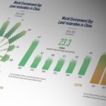 China's Decade of Green Efforts Highlighted on World Environment Day