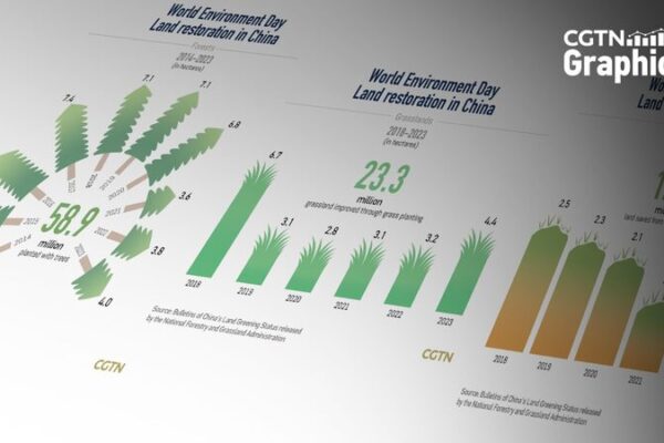 China’s Decade of Green Efforts Highlighted on World Environment Day China's Decade of Green Efforts Highlighted on World Environment Day
