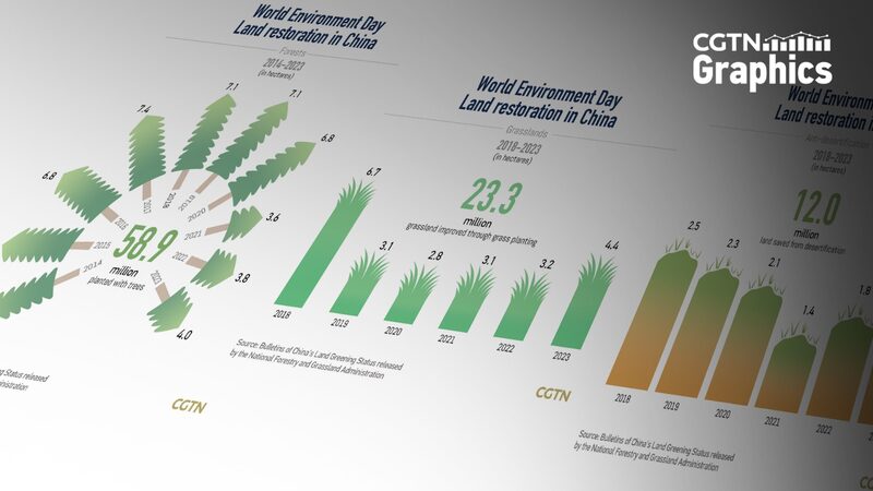 China's Decade of Green Efforts Highlighted on World Environment Day