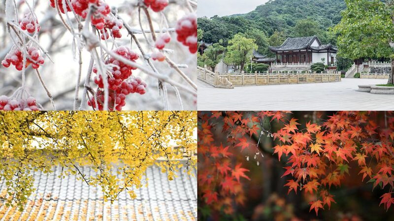 China's Early Winter: Exploring the Stunning Scenery During Minor Snow video poster