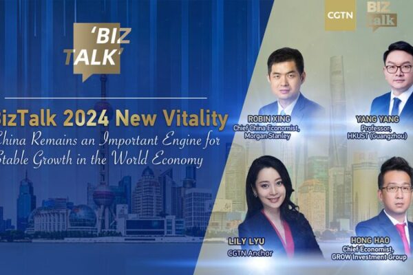 China's Economic Recovery in 2024: Experts Share Insights on Growth and Stability video poster
