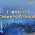 China's Economic Resilience in 2023: Navigating Uncertainty with Innovation video poster