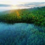 China's Forest Food Output Reaches 226 Million Tonnes in 2023, Leading the World