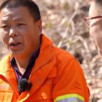 China's Forests Reborn: The Lasting Impact of the 1998 Logging Ban in Liaoning