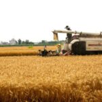 China's Grain Storage Capacity Surpasses 700 Million Tonnes in 2023