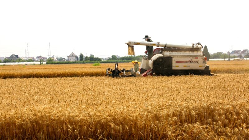 Chinas_Grain_Storage_Capacity_Surpasses_700_Million_Tonnes_in_2023 - Khabar Asia China's Grain Storage Capacity Surpasses 700 Million Tonnes in 2023
