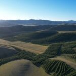 China's 'Green Great Wall': Progress in the Three-North Shelterbelt Forest Program video poster
