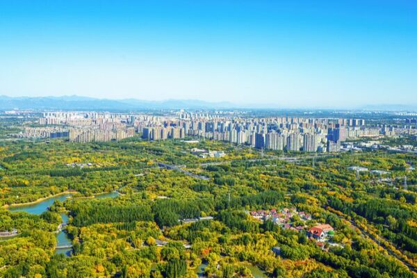 China's Green Transformation Accelerates: Ecological Gains in 2023
