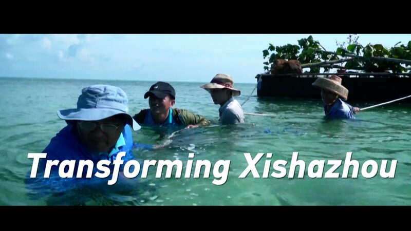 China's Greening Efforts Transform Xishazhou into a Flourishing Island video poster
