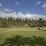 China's Hainan Shares Tropical Farming Expertise with Africa video poster