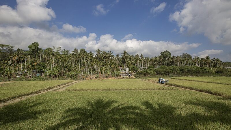 Chinas_Hainan_Shares_Tropical_Farming_Expertise_with_Africa_poster - Khabar Asia China's Hainan Shares Tropical Farming Expertise with Africa video poster