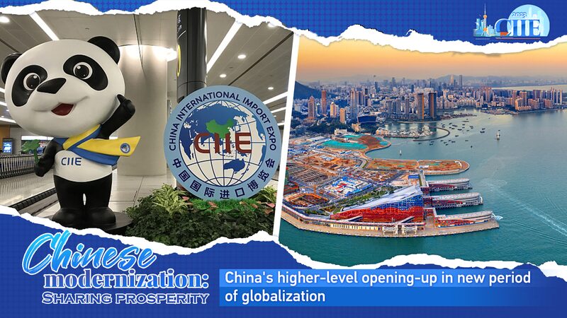 China's High-Level Opening-Up in a New Era of Globalization
