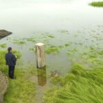 China's Largest Freshwater Lake Sees Rapid Rise in Water Levels Amid Persistent Rain