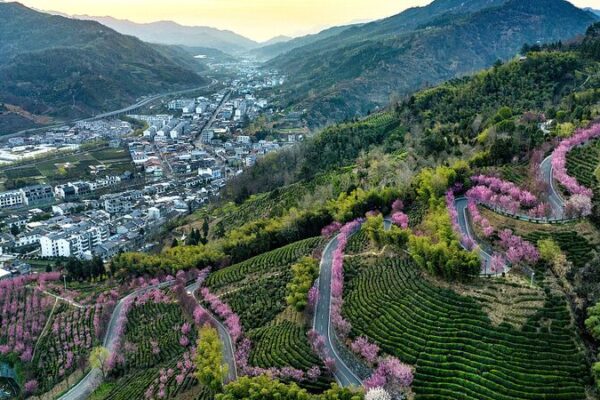 Chinas_No1_Central_Document_Charts_Course_for_Rural_Revitalization - Khabar Asia China's 'No.1 Central Document' Charts Course for Rural Revitalization