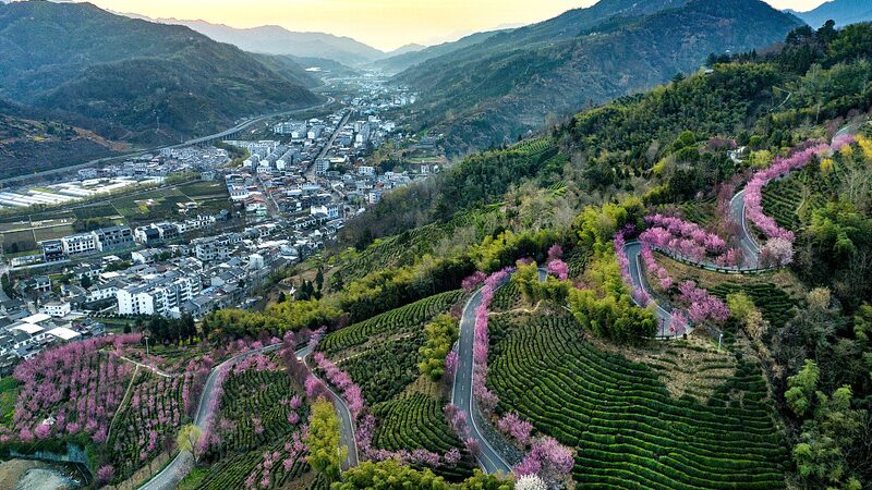 Chinas_No1_Central_Document_Charts_Course_for_Rural_Revitalization - Khabar Asia China's 'No.1 Central Document' Charts Course for Rural Revitalization