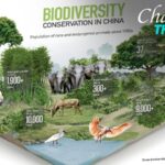 China's Pioneering Role in Global Biodiversity Conservation