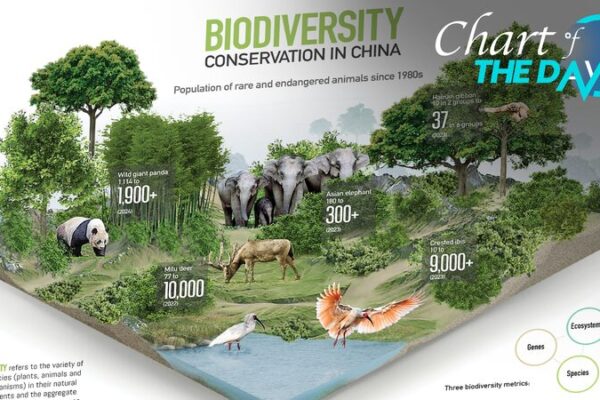 China's Pioneering Role in Global Biodiversity Conservation