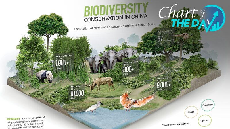 Chinas_Pioneering_Role_in_Global_Biodiversity_Conservation - Khabar Asia China's Pioneering Role in Global Biodiversity Conservation