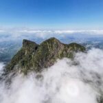 China's Pivotal Role in Global Biodiversity Protection video poster