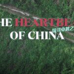 China's Pulse Towards Sustainability: Exploring "The Heartbeat of China" video poster