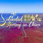 Chinas_Red_Beach_Liaonings_Seepweed_Wonderland_and_Bird_Paradise_poster - Khabar Asia China's Red Beach: Liaoning's Seepweed Wonderland and Bird Paradise video poster