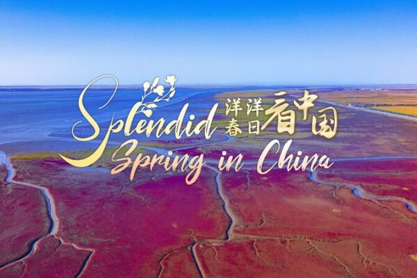 China’s Red Beach: Liaoning’s Seepweed Wonderland and Bird Paradise China's Red Beach: Liaoning's Seepweed Wonderland and Bird Paradise video poster
